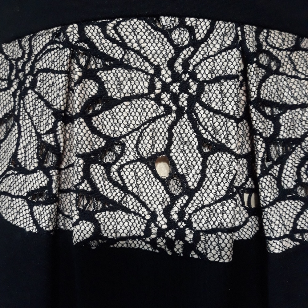 ANTHROPOLOGIE /EVA FRANCO LACED STRATA DRESS-Sz 4 - Picture 7 of 8